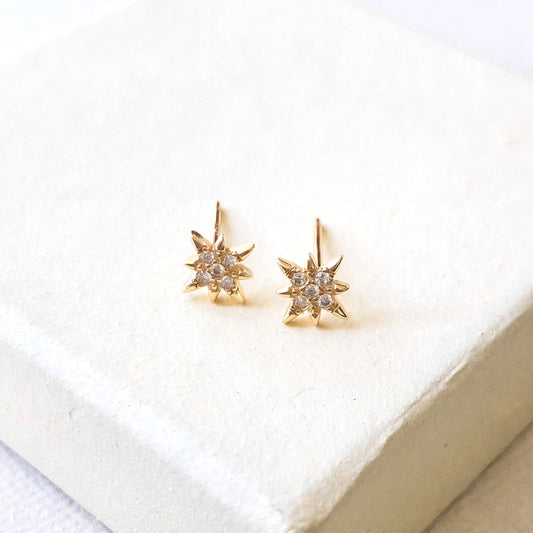 Mini Compass Star Earrings